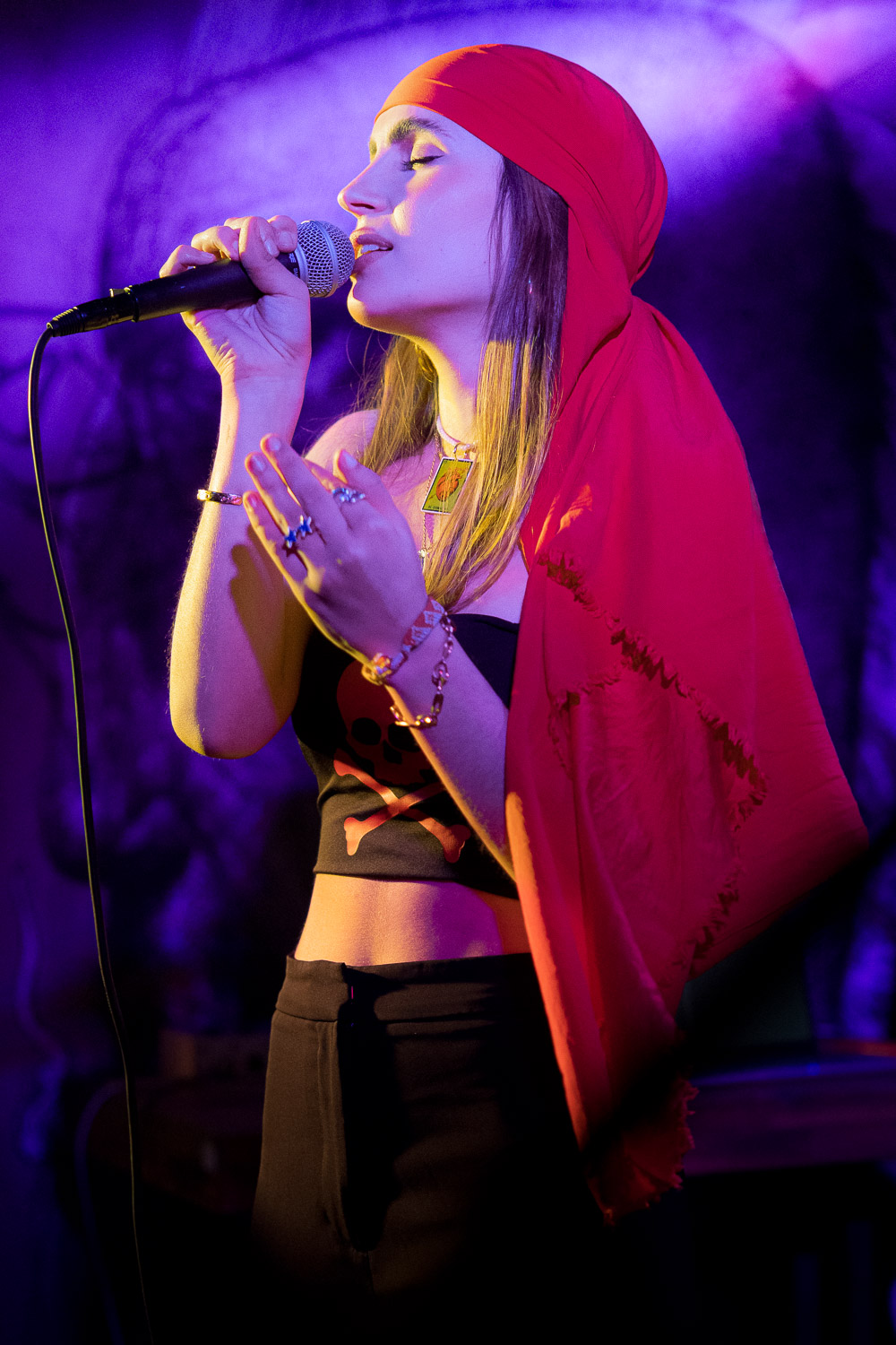 photographie de concert